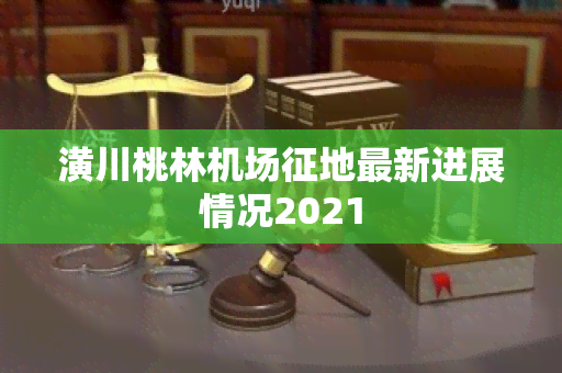 潢川桃林机场征地最新进展情况2021