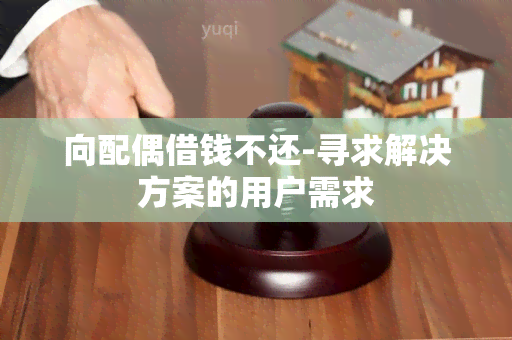 向配偶借钱不还-寻求解决方案的用户需求