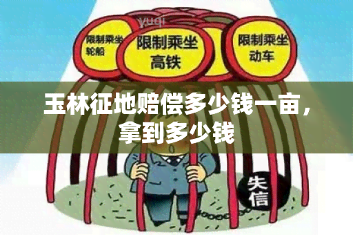 玉林征地赔偿多少钱一亩，拿到多少钱