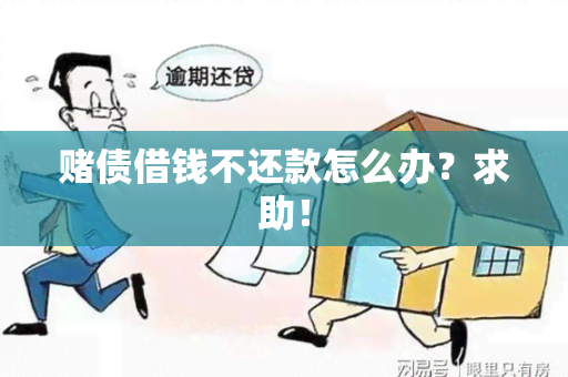 债借钱不还款怎么办？求助！