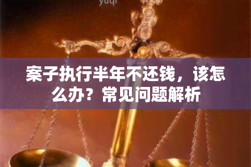 案子执行半年不还钱，该怎么办？常见问题解析