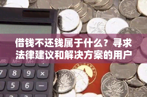 借钱不还钱属于什么？寻求法律建议和解决方案的用户需求