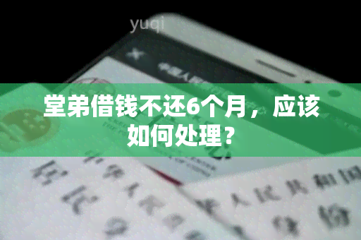 堂弟借钱不还6个月，应该如何处理？