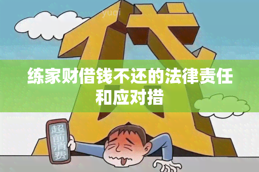 练家财借钱不还的法律责任和应对措