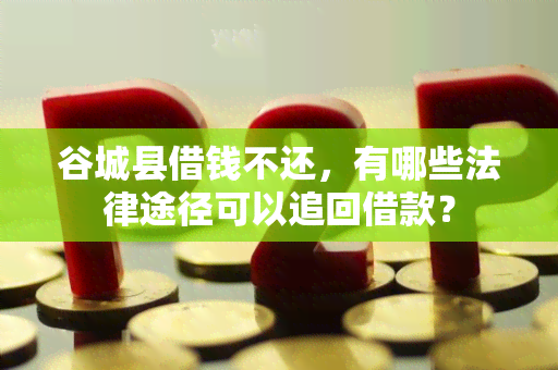 谷城县借钱不还，有哪些法律途径可以追回借款？