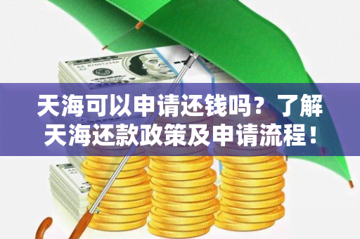 天海可以申请还钱吗？了解天海还款政策及申请流程！