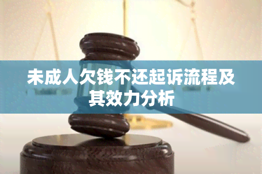 未成人欠钱不还起诉流程及其效力分析