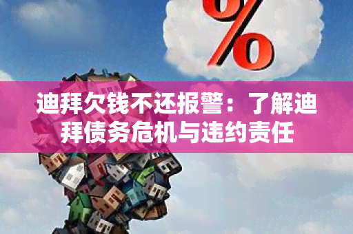 迪拜欠钱不还报警：了解迪拜债务危机与违约责任