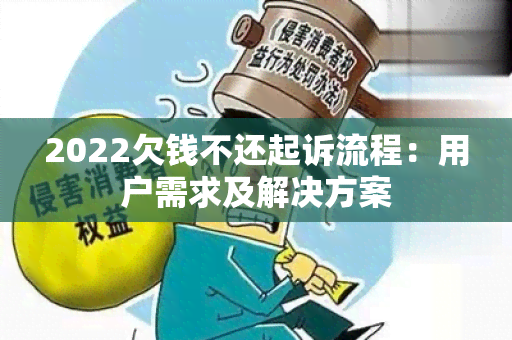 2022欠钱不还起诉流程：用户需求及解决方案