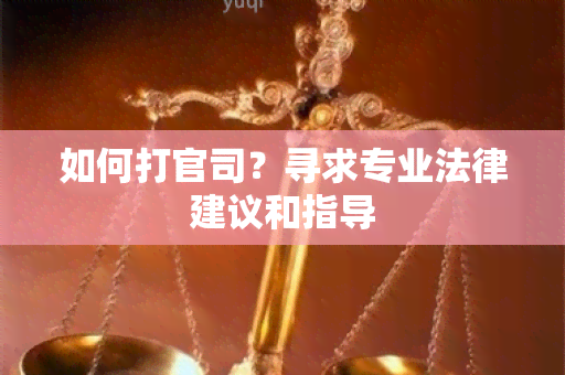 如何打官司？寻求专业法律建议和指导