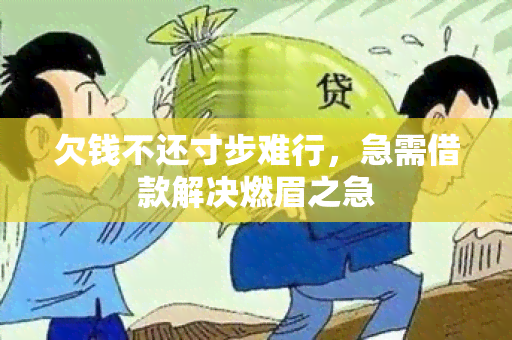 欠钱不还寸步难行，急需借款解决燃眉之急