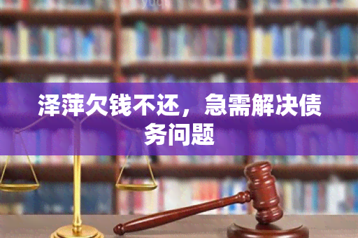 泽萍欠钱不还，急需解决债务问题