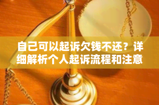 自己可以起诉欠钱不还？详细解析个人起诉流程和注意事