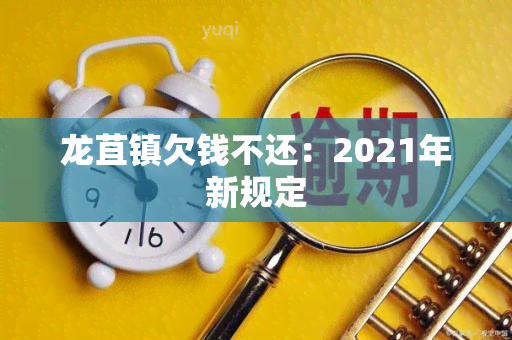 龙苴镇欠钱不还：2021年新规定