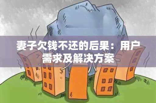 妻子欠钱不还的后果：用户需求及解决方案