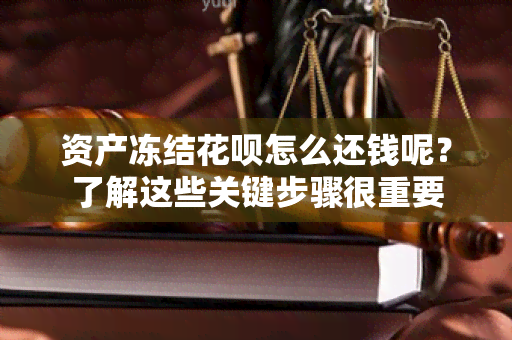 资产冻结花呗怎么还钱呢？了解这些关键步骤很重要