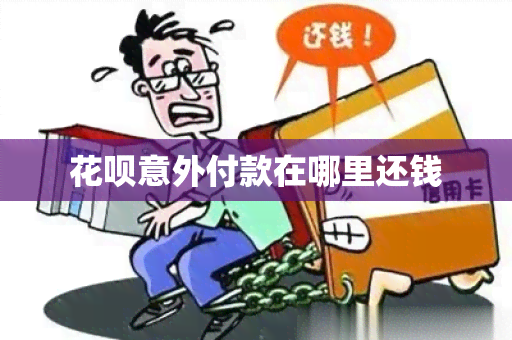 花呗意外付款在哪里还钱