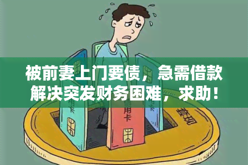 被前妻上门要债，急需借款解决突发财务困难，求助！