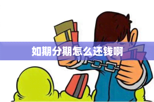 如期分期怎么还钱啊