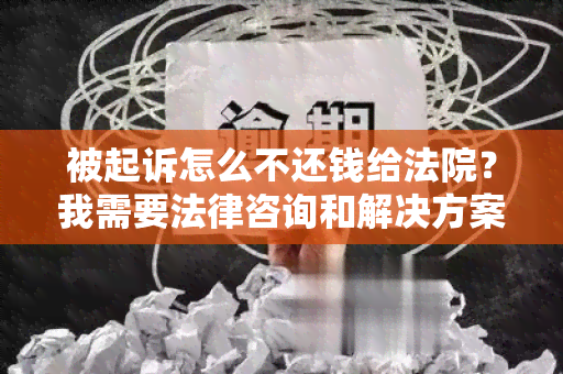 被起诉怎么不还钱给法院？我需要法律咨询和解决方案