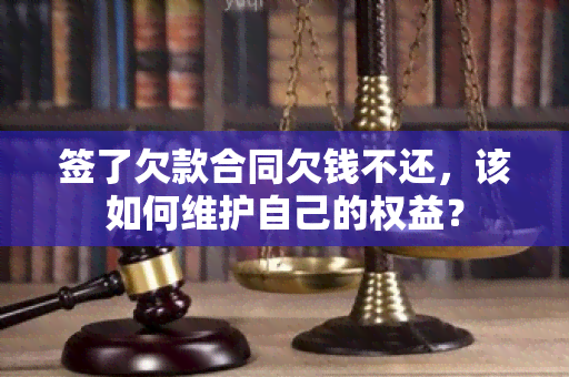 签了欠款合同欠钱不还，该如何维护自己的权益？