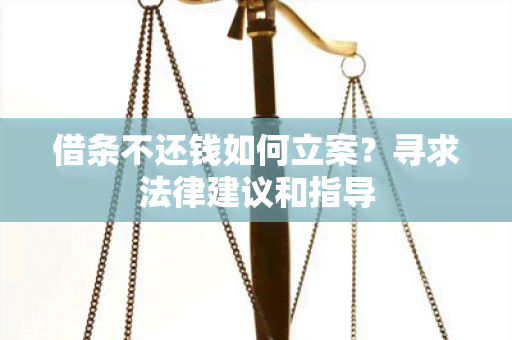 借条不还钱如何立案？寻求法律建议和指导