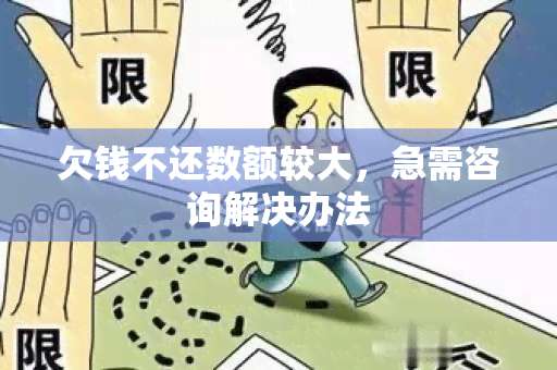 欠钱不还数额较大，急需咨询解决办法