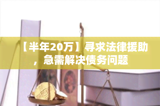 【半年20万】寻求法律援助，急需解决债务问题