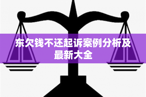 东欠钱不还起诉案例分析及最新大全