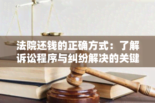 法院还钱的正确方式：了解诉讼程序与纠纷解决的关键步骤