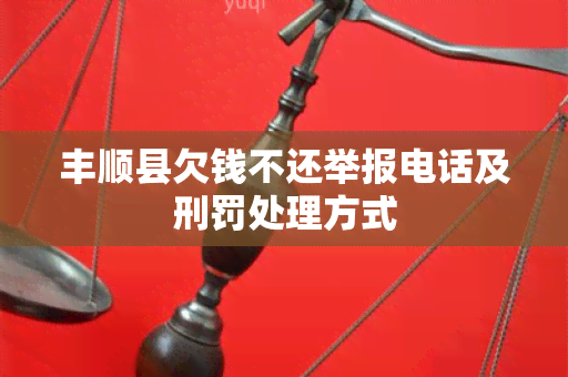 丰顺县欠钱不还举报电话及刑罚处理方式