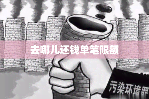 去哪儿还钱单笔限额