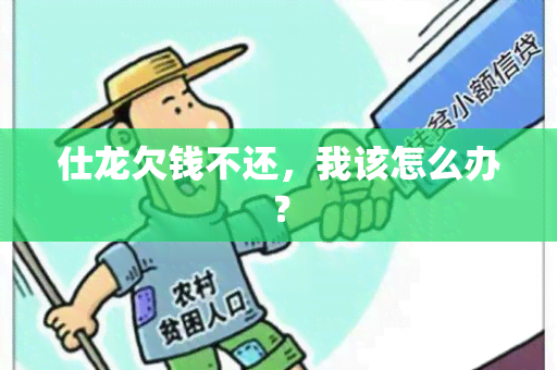 仕龙欠钱不还，我该怎么办？