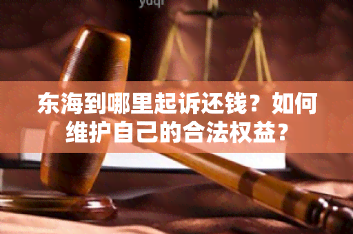 东海到哪里起诉还钱？如何维护自己的合法权益？