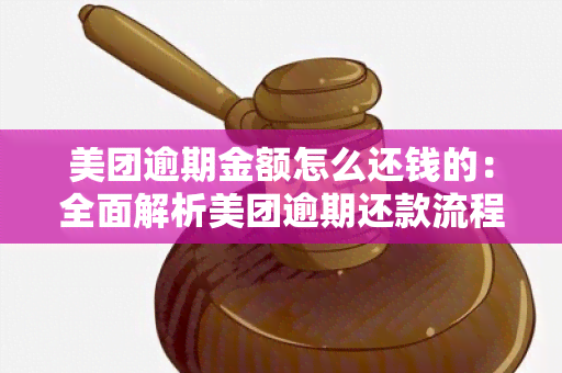 美团逾期金额怎么还钱的：全面解析美团逾期还款流程以及还款方式