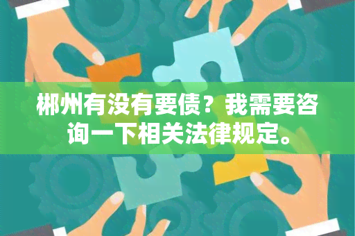 郴州有没有要债？我需要咨询一下相关法律规定。