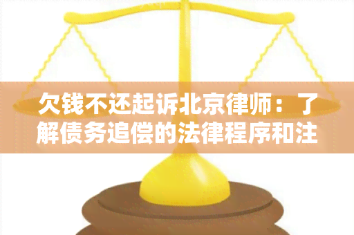 欠钱不还起诉北京律师：了解债务追偿的法律程序和注意事