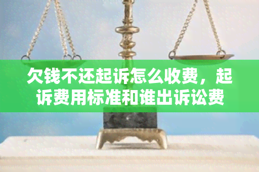 欠钱不还起诉怎么收费，起诉费用标准和谁出诉讼费