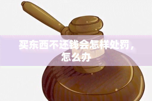 买东西不还钱会怎样处罚，怎么办