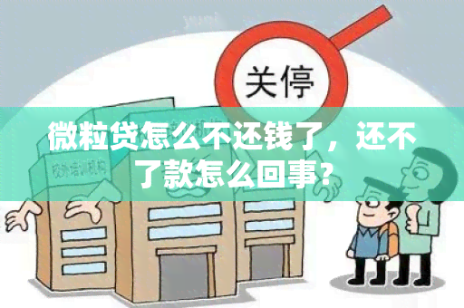 微粒贷怎么不还钱了，还不了款怎么回事？