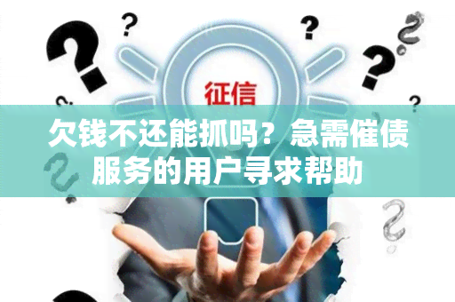 欠钱不还能抓吗？急需催债服务的用户寻求帮助