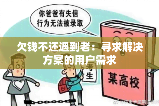 欠钱不还遇到老：寻求解决方案的用户需求