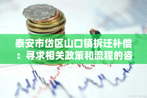 泰安市岱区山口镇拆迁补偿：寻求相关政策和流程的咨询帮助