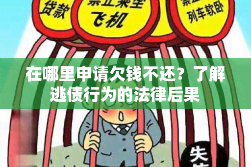 在哪里申请欠钱不还？了解逃债行为的法律后果