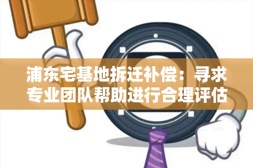 浦东宅基地拆迁补偿：寻求专业团队帮助进行合理评估和协商赔偿方案