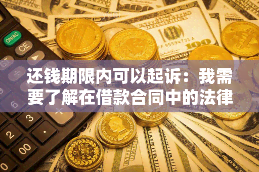 还钱期限内可以起诉：我需要了解在借款合同中的法律保护措