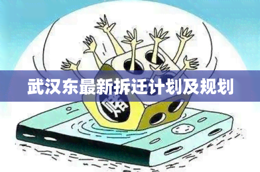 武汉东最新拆迁计划及规划