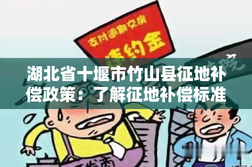 湖北省十堰市竹山县征地补偿政策：了解征地补偿标准、程序和权益保障