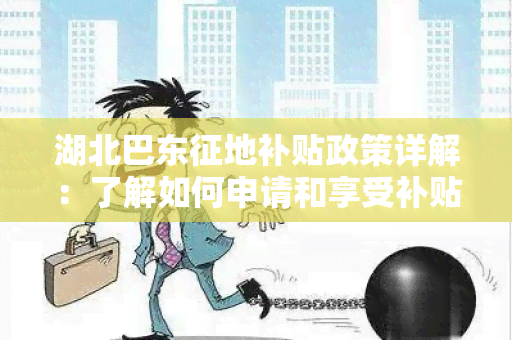 湖北巴东征地补贴政策详解：了解如何申请和享受补贴