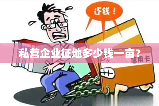 私营企业征地多少钱一亩？